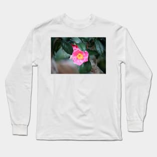 Pink Camellia Japonica Long Sleeve T-Shirt